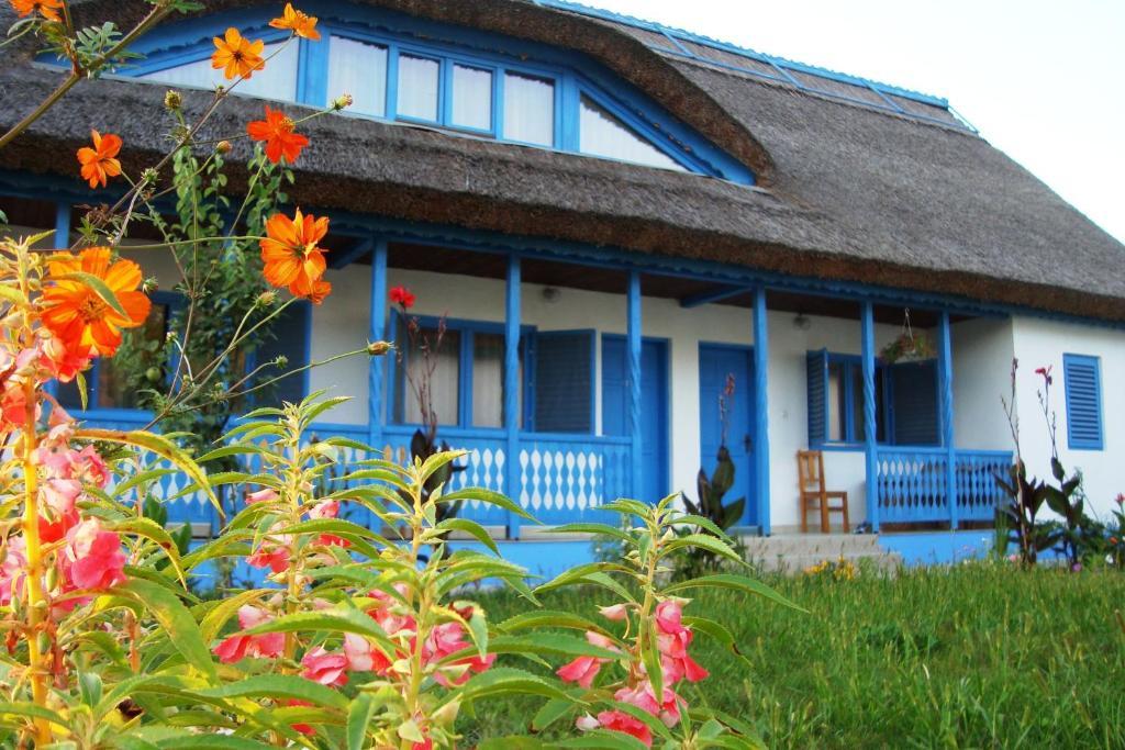 Uzlina Casa Dintre Salcii酒店 外观 照片
