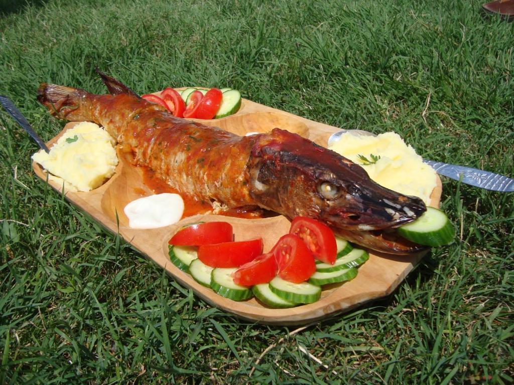 Uzlina Casa Dintre Salcii酒店 外观 照片